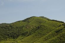 青草岭 青草岭